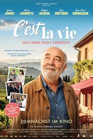 Plakat: C'est La Vie - Das Leben spielt verrückt